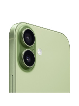 Apple iPhone 17 (8/256GB) Sage