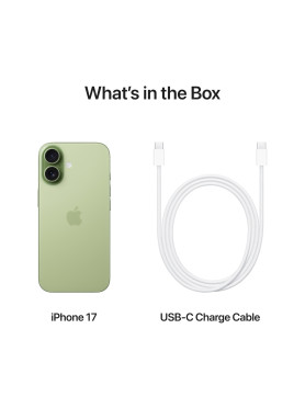 Apple iPhone 17 (8/256GB) Sage
